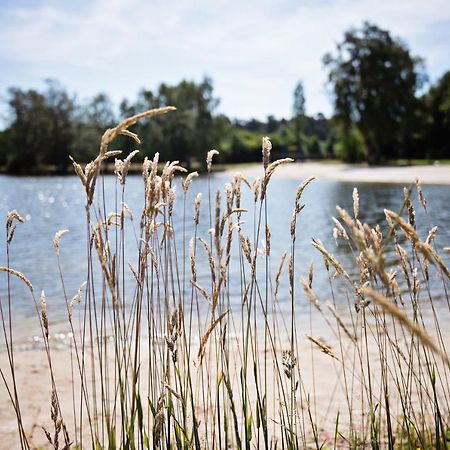 Ferienparadies Muehlenbach Золтау Екстериор снимка