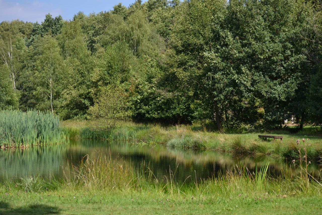 Ferienparadies Muehlenbach Золтау Екстериор снимка