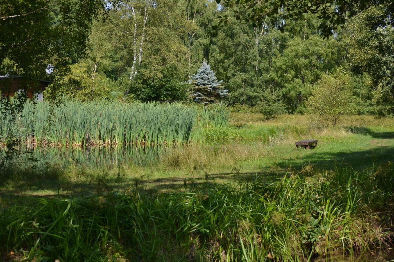 Ferienparadies Muehlenbach Золтау Екстериор снимка