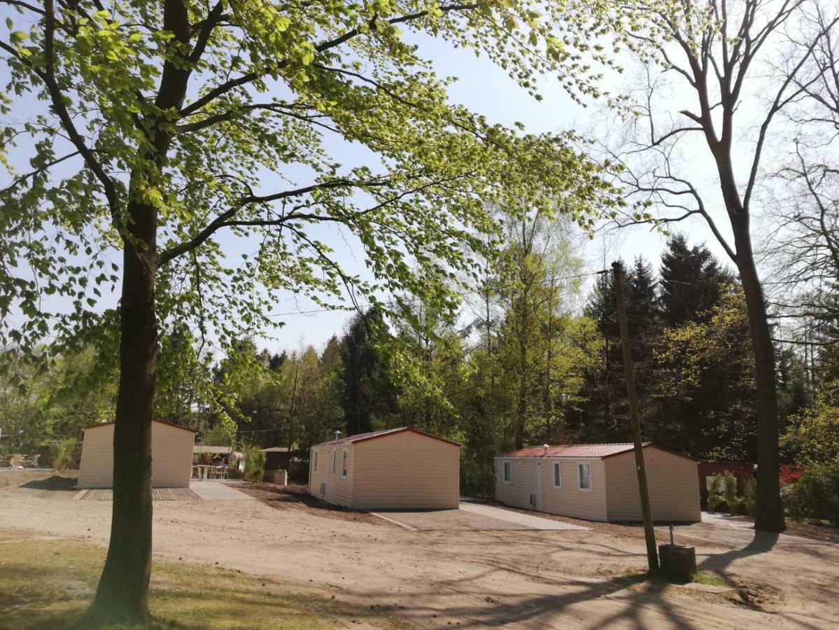 Ferienparadies Muehlenbach Золтау Екстериор снимка